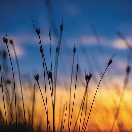 In Διαμέρισμα *